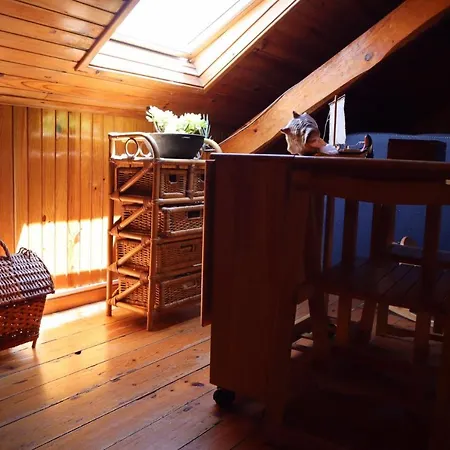 홈스테이 Pensao Jose Hortas 코스타노바