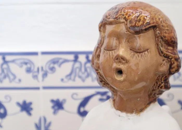 Pensao Jose Hortas Accommodatie bij particulieren Costa Nova