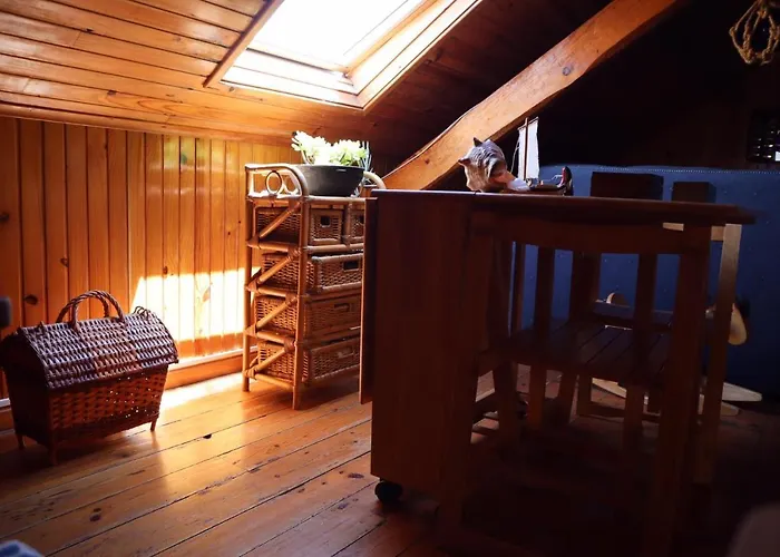 Accommodatie bij particulieren Pensao Jose Hortas Costa Nova